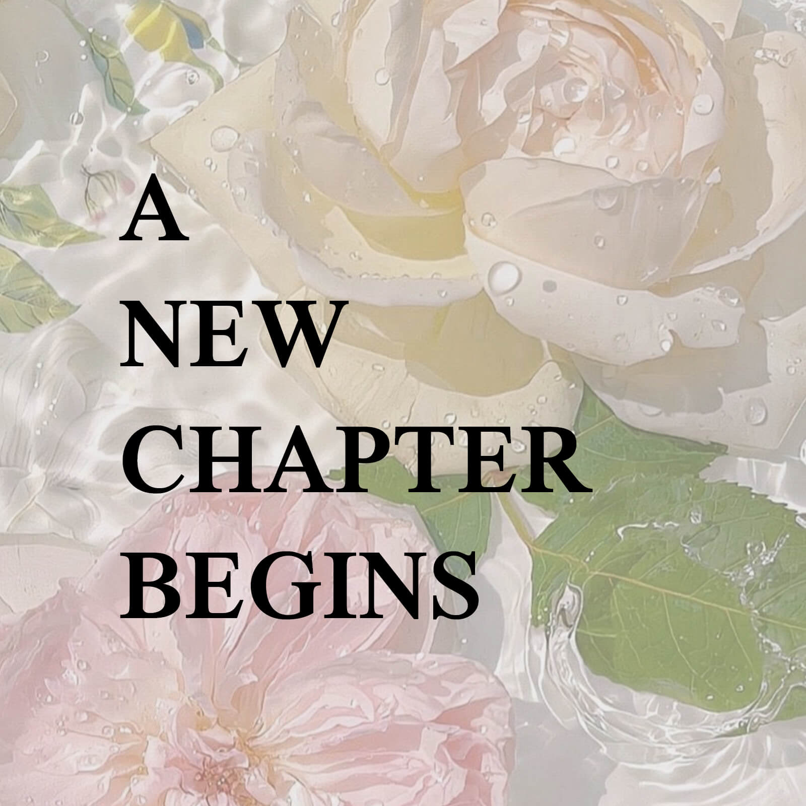 A NEW CHAPTER BEGIN3(3)